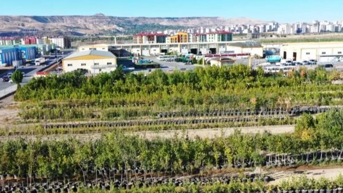 Başkan Çolakbayrakdar, “Yeşil ve daha yeşil bir Kayseri için çalışıyoruz”