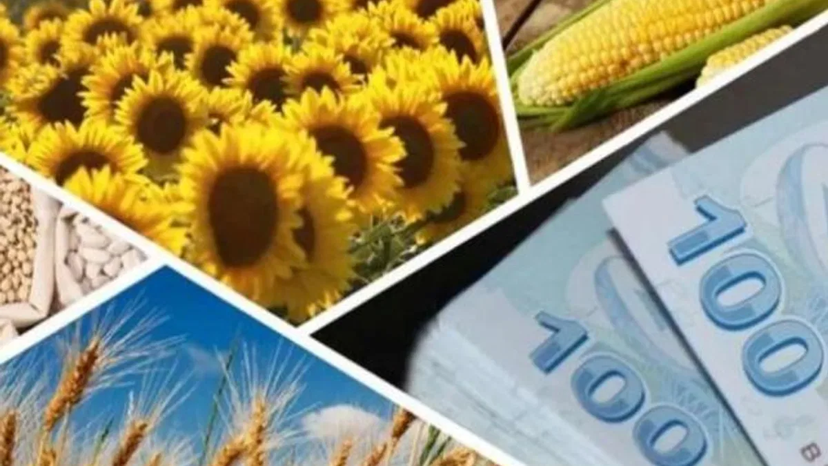 Çiftçilere 1,7 milyar TL’lik destek ödemesi hesaplarda
