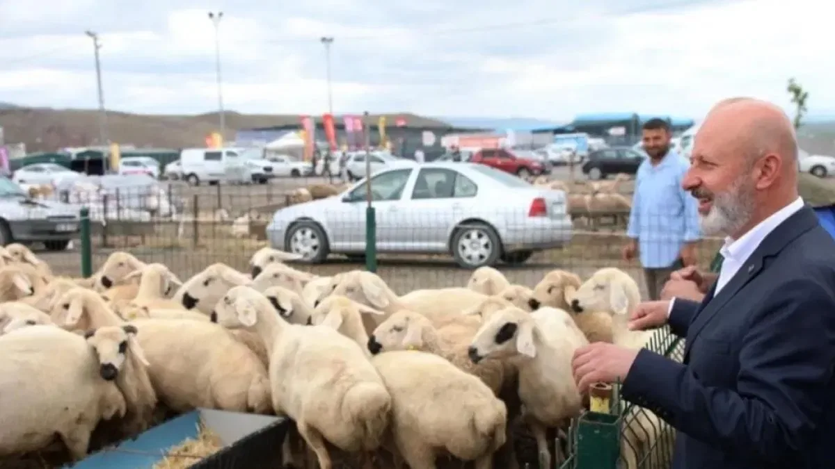 Kayseri Kocasinan’dan profesyonel kurban hazırlığı