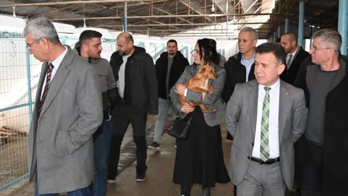 Manisa’da Sokak Hayvanları Komisyonu toplandı
