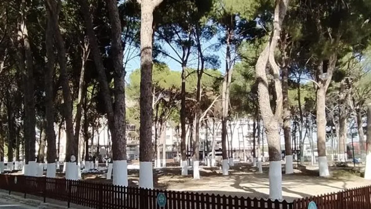 Manisa’da tarihi Muradiye Mezarlığı’na sahip çıktı