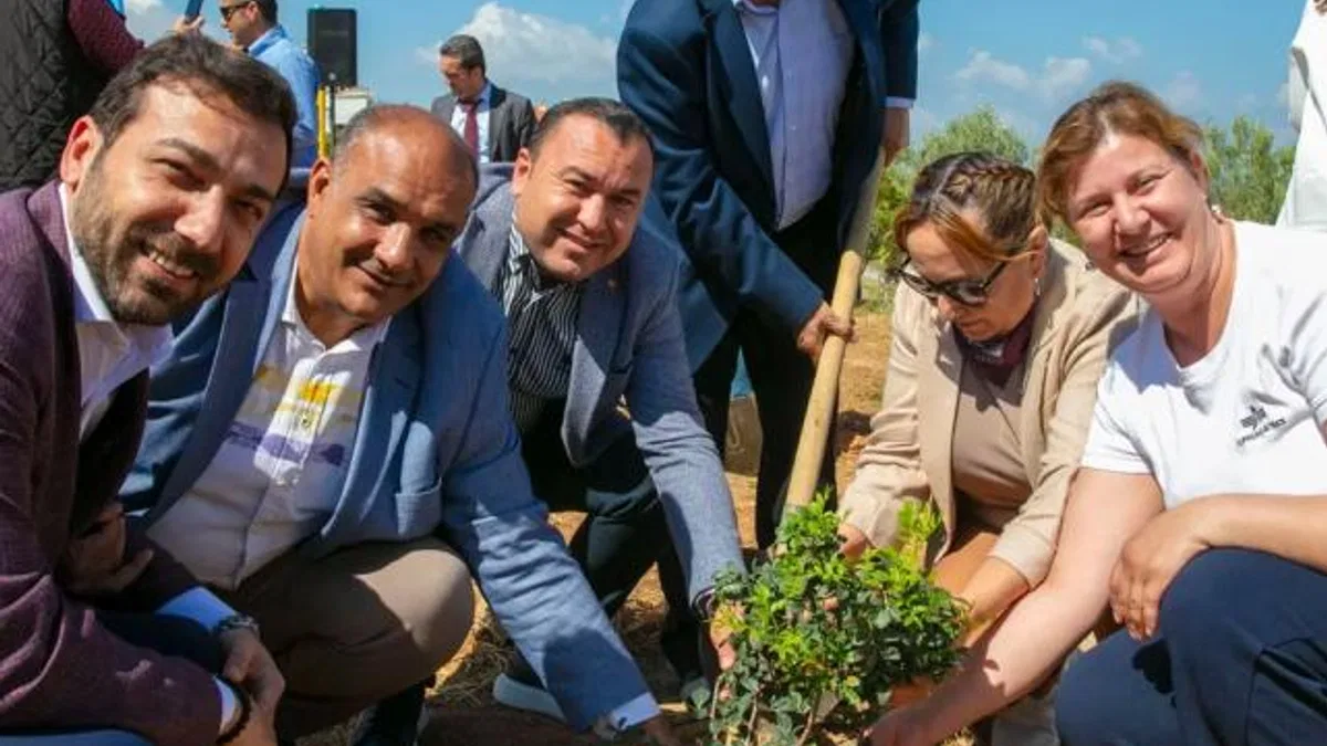 İzmir Güzelbahçe’de sakız ağaçları büyüyecek