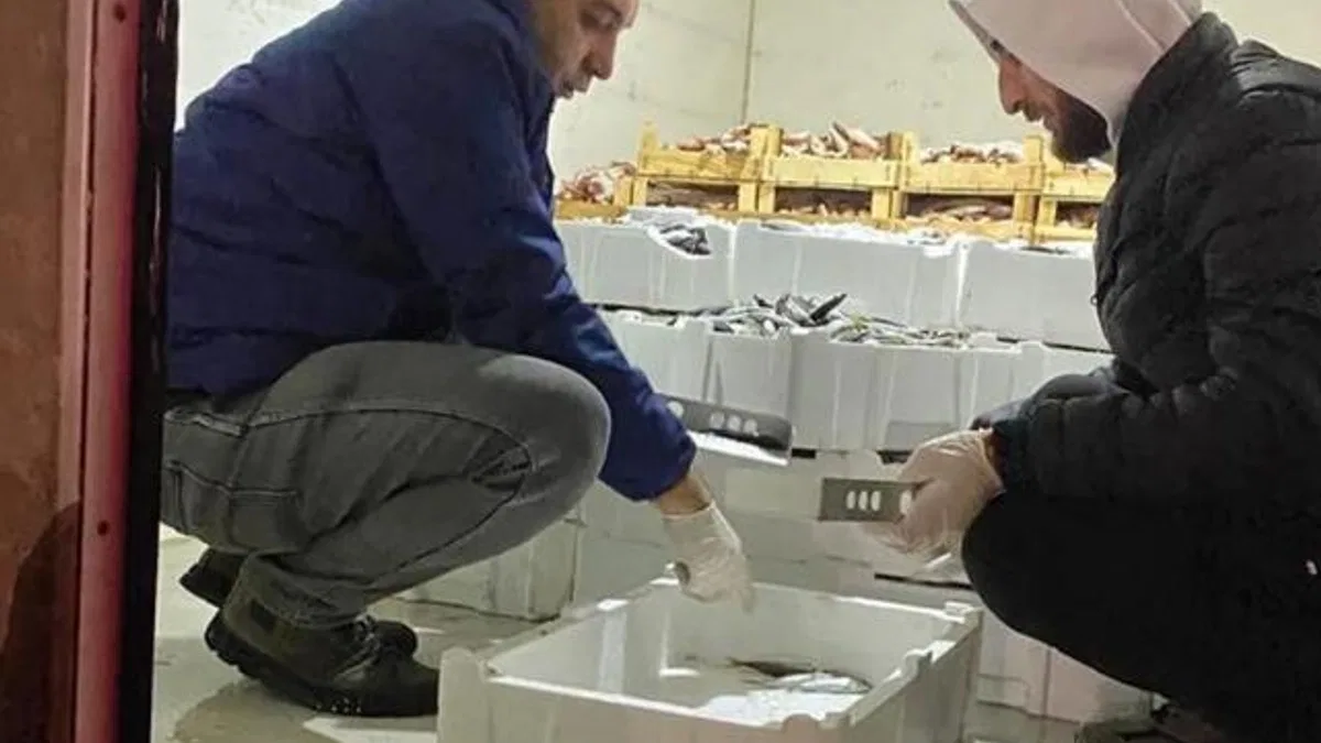 Bursa’da 1,5 ayda 5 ton balığa el konuldu!
