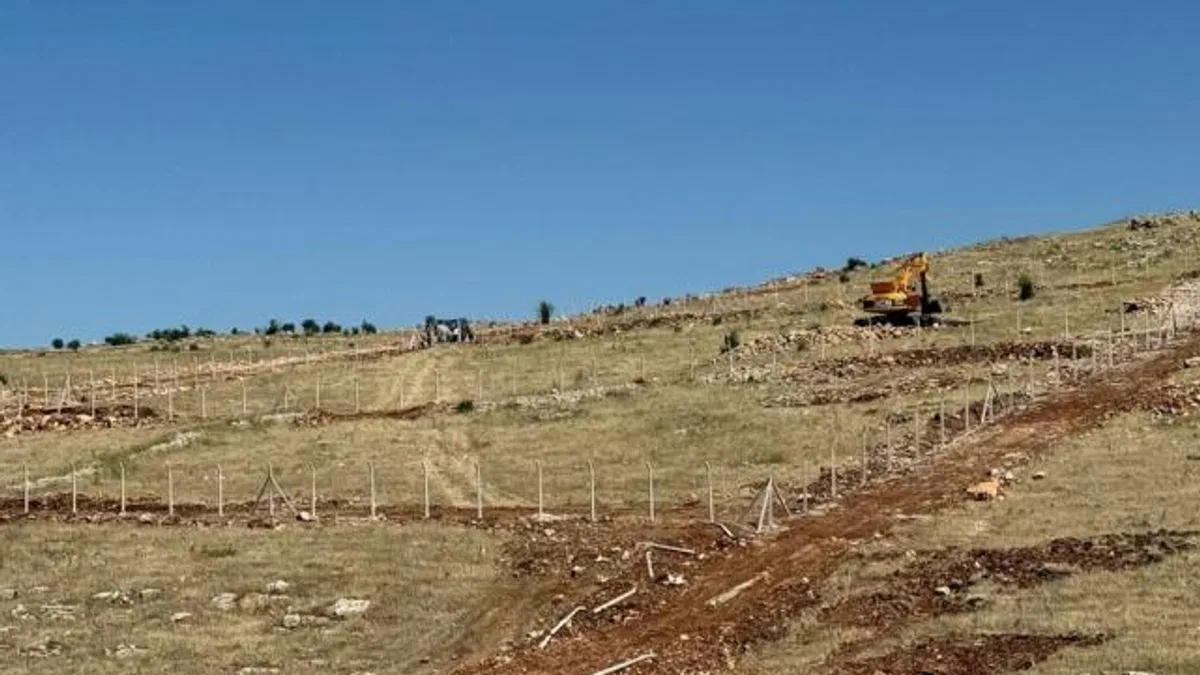 Mardin Artuklu Belediyesi’nden hayvan dostu projeler