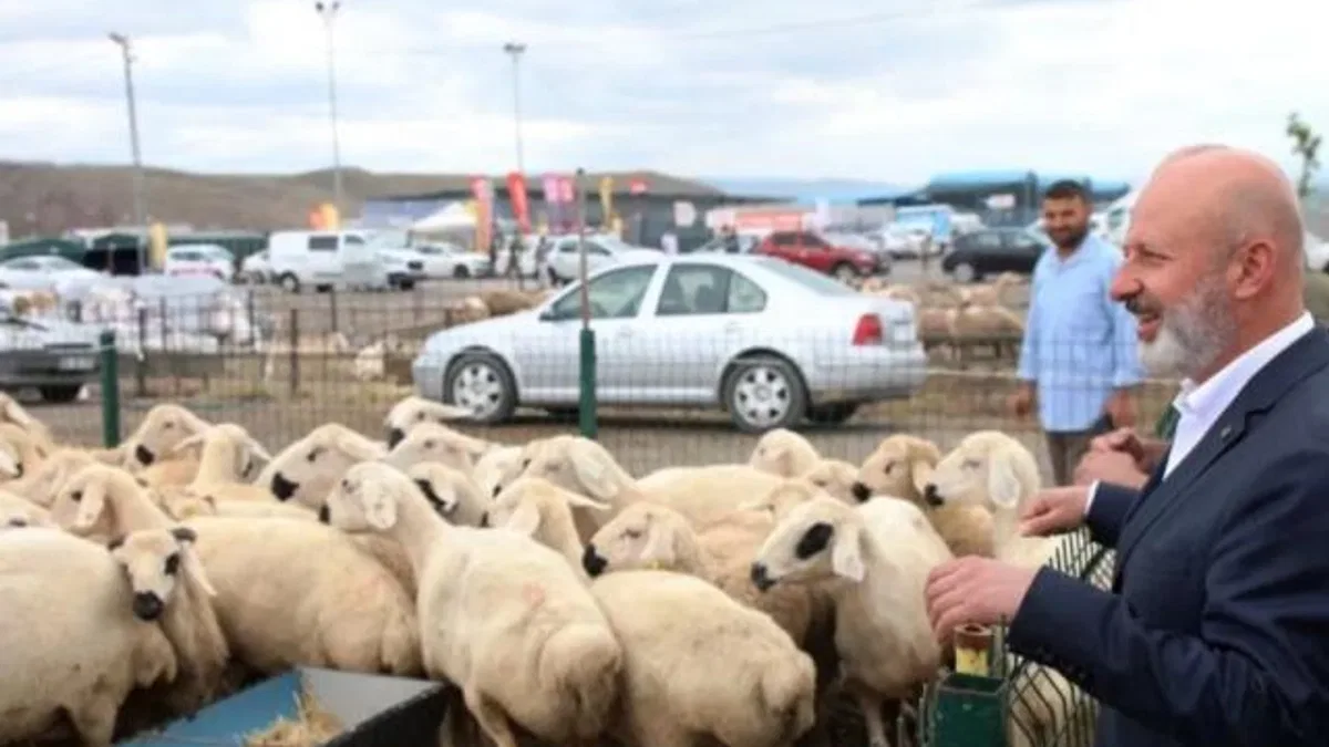 Kayseri Kocasinan’dan Türkiye’ye örnek ‘kurban’ ihalesi