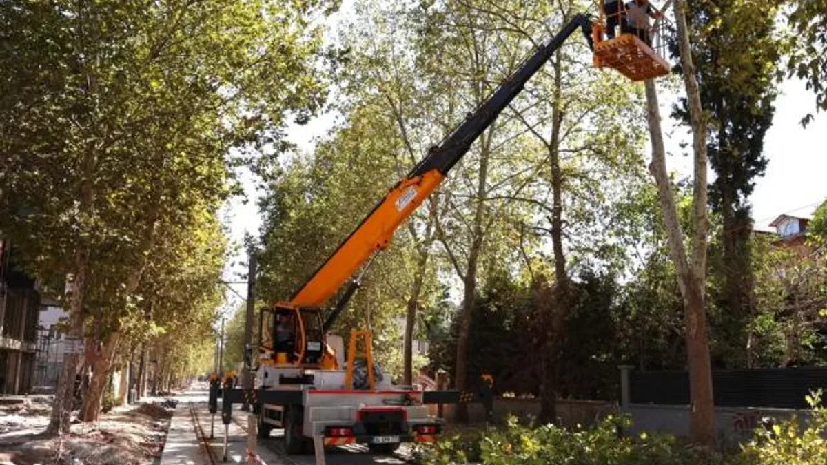 Alikahya Tramvay Hattı için ağaçlara itinalı budama