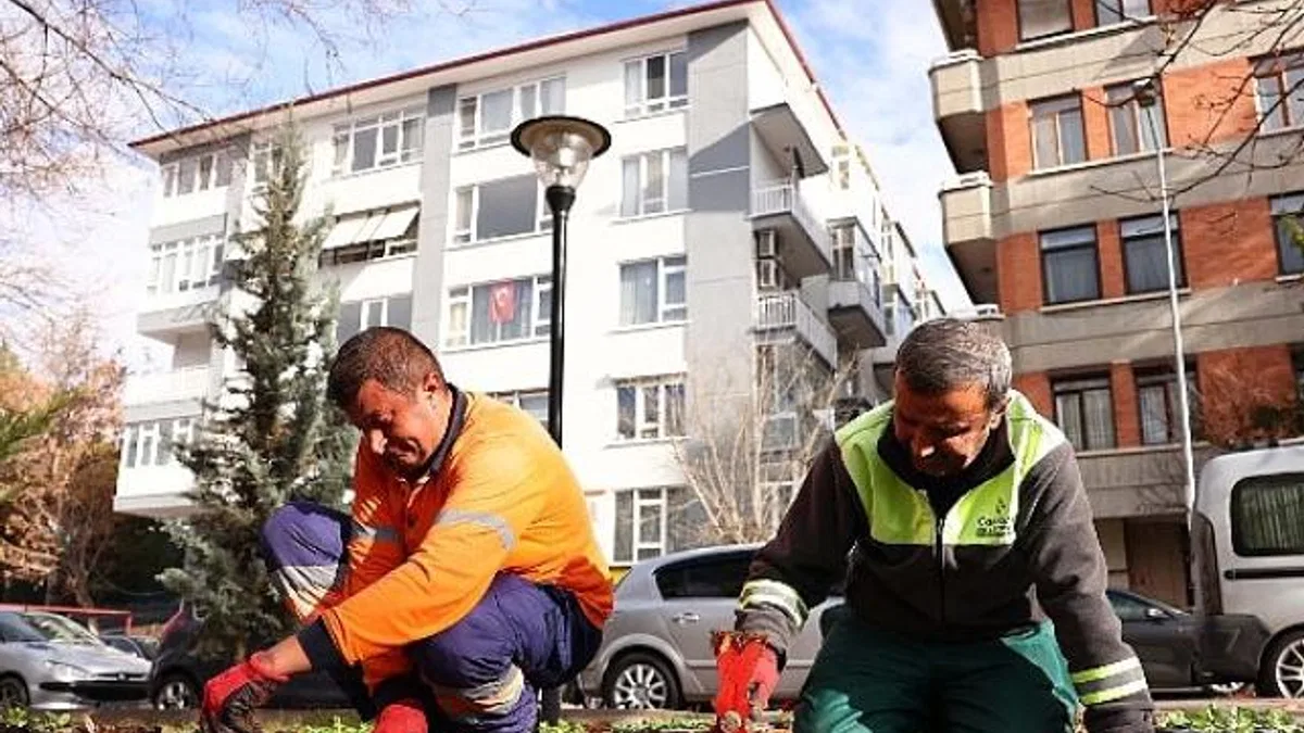 Çankaya parkları çiçek açıyor