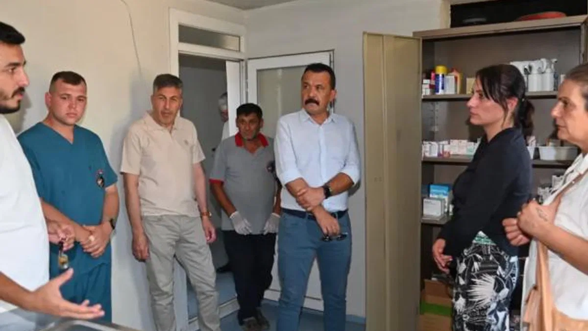 Manisa’da sokak hayvanları için yeni yaşam alanları oluşturuluyor