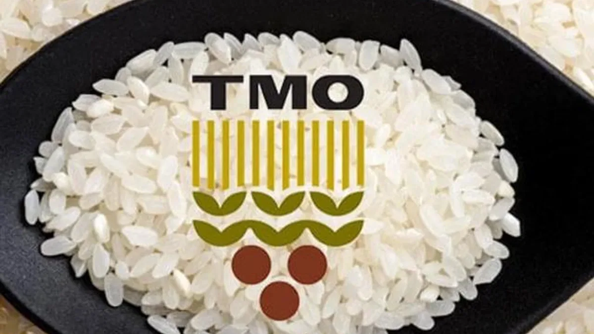 TMO: Tüm pirinçler yerli üreticiden