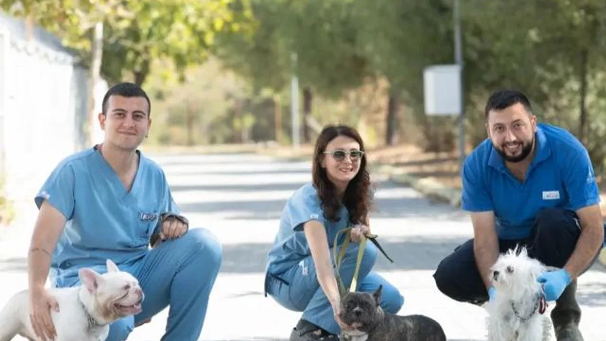 İzmir’de el konulan 20 cins köpek sahiplendirilecek