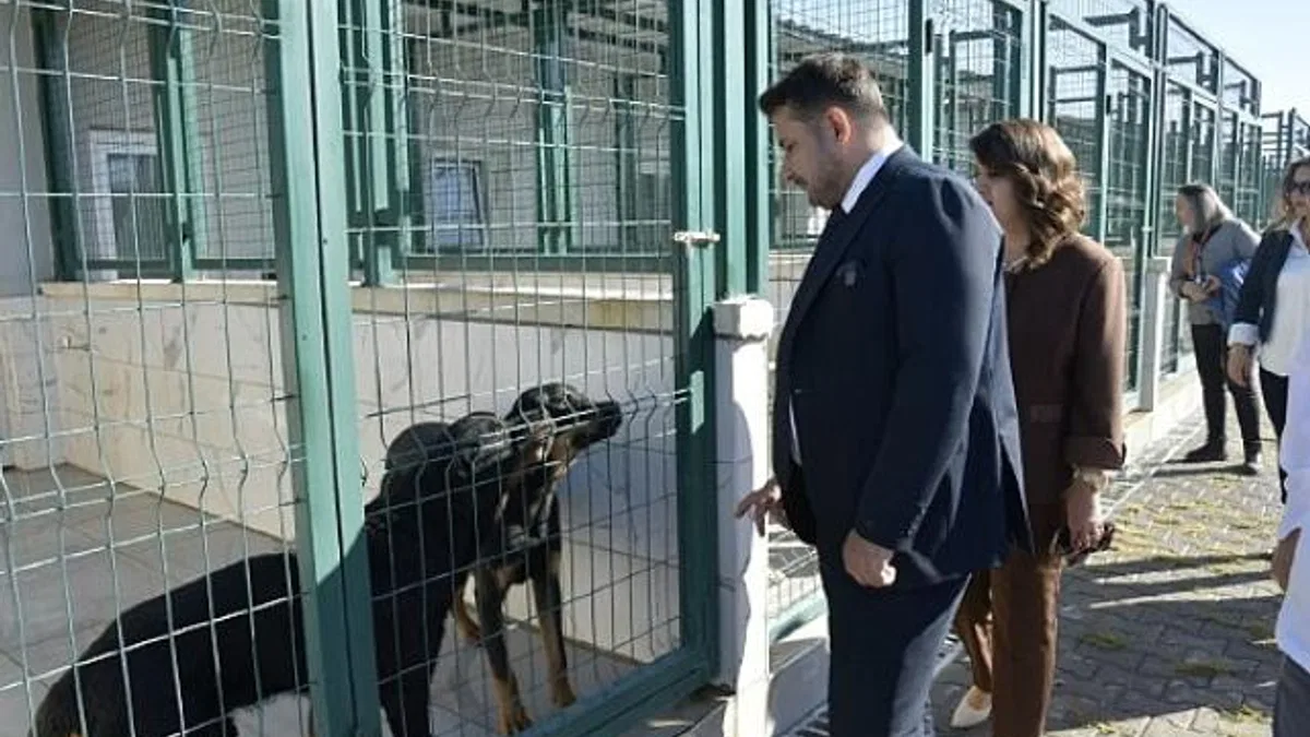 Patili Dostlara Miniklerden Ziyaret