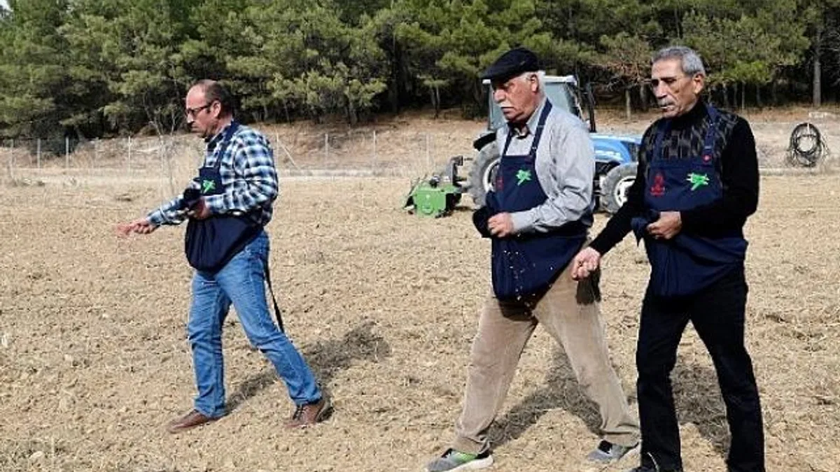 Üreticiye destek için buğday ekimi yapıldı