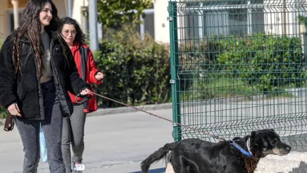 İzmir Menemen’deki yangından kurtarılan 17 hayvana Büyükşehir sahip çıktı