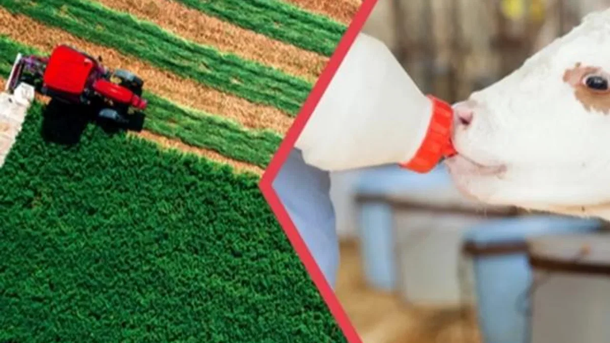 112 milyon TL’lik tarımsal destekler hesaplarda