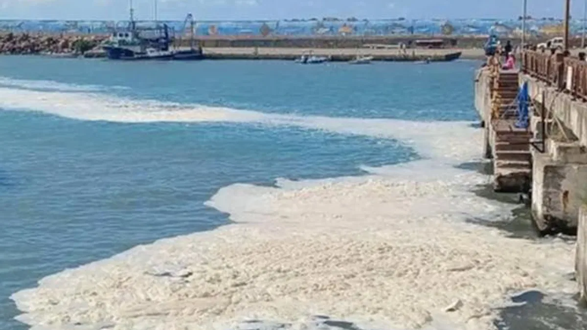 Müsilaj büyüyerek Ege ve Karadeniz’e gidecek