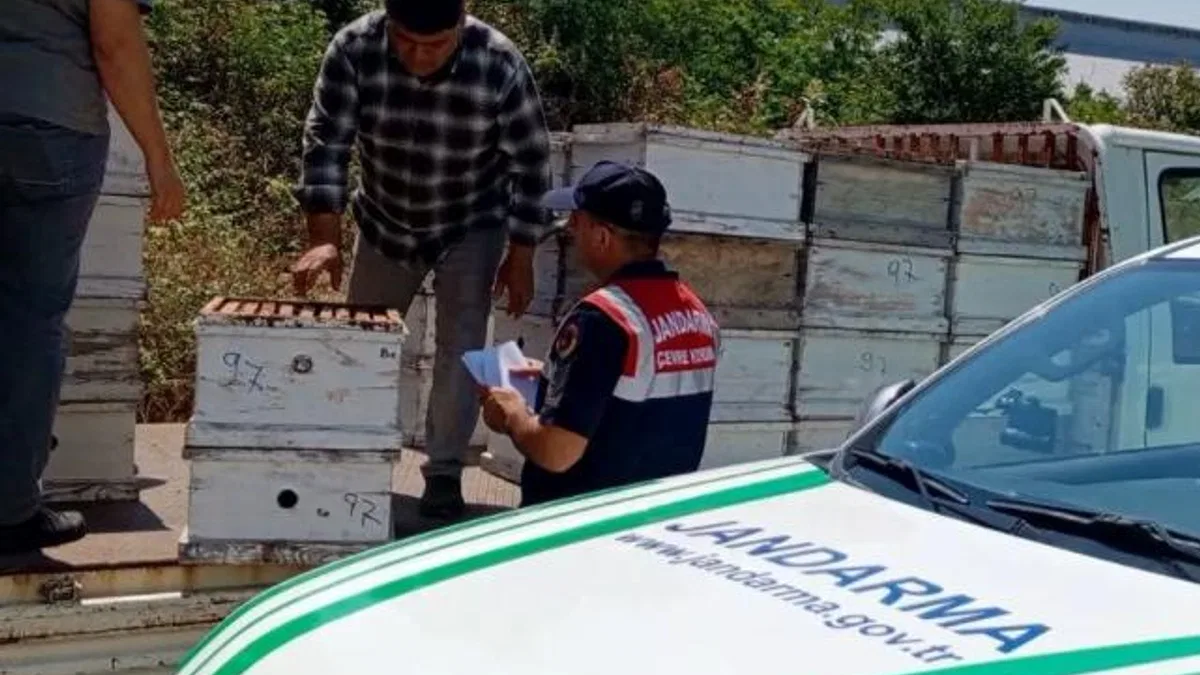 Edirne’de arıcılara önemli uyarı