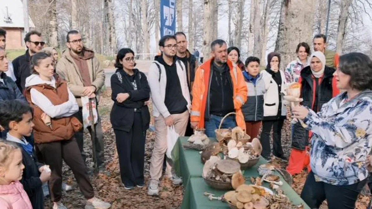 Kocaeli Kuzuyayla’da mantarların gizemli dünyası keşfedildi