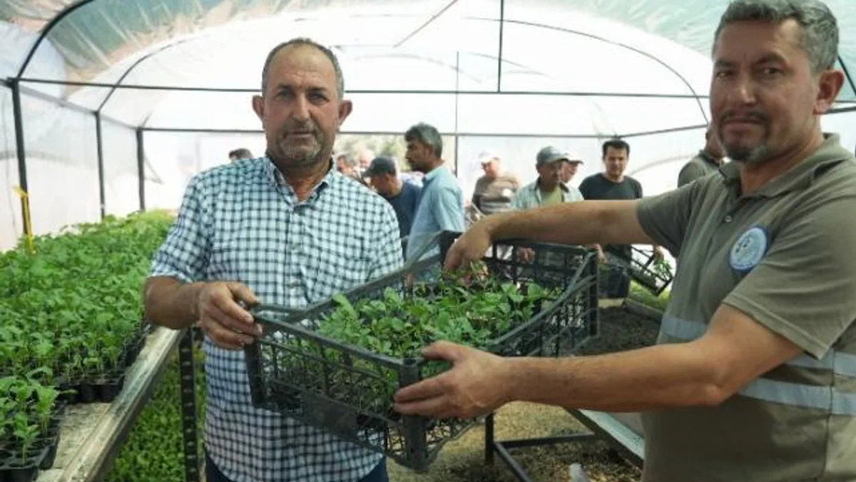 Muğla Milas’ta üreticilere fide desteği