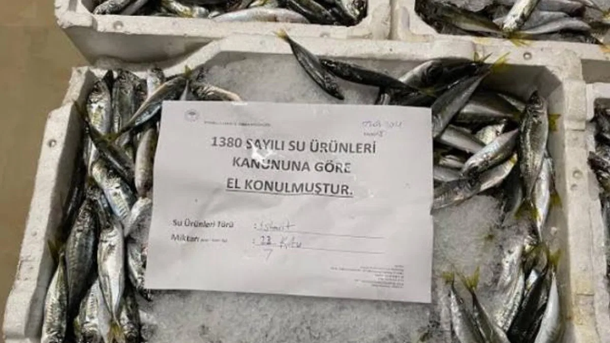 Yediemin’deki su ürünleri kaçıranlara hapis cezası!