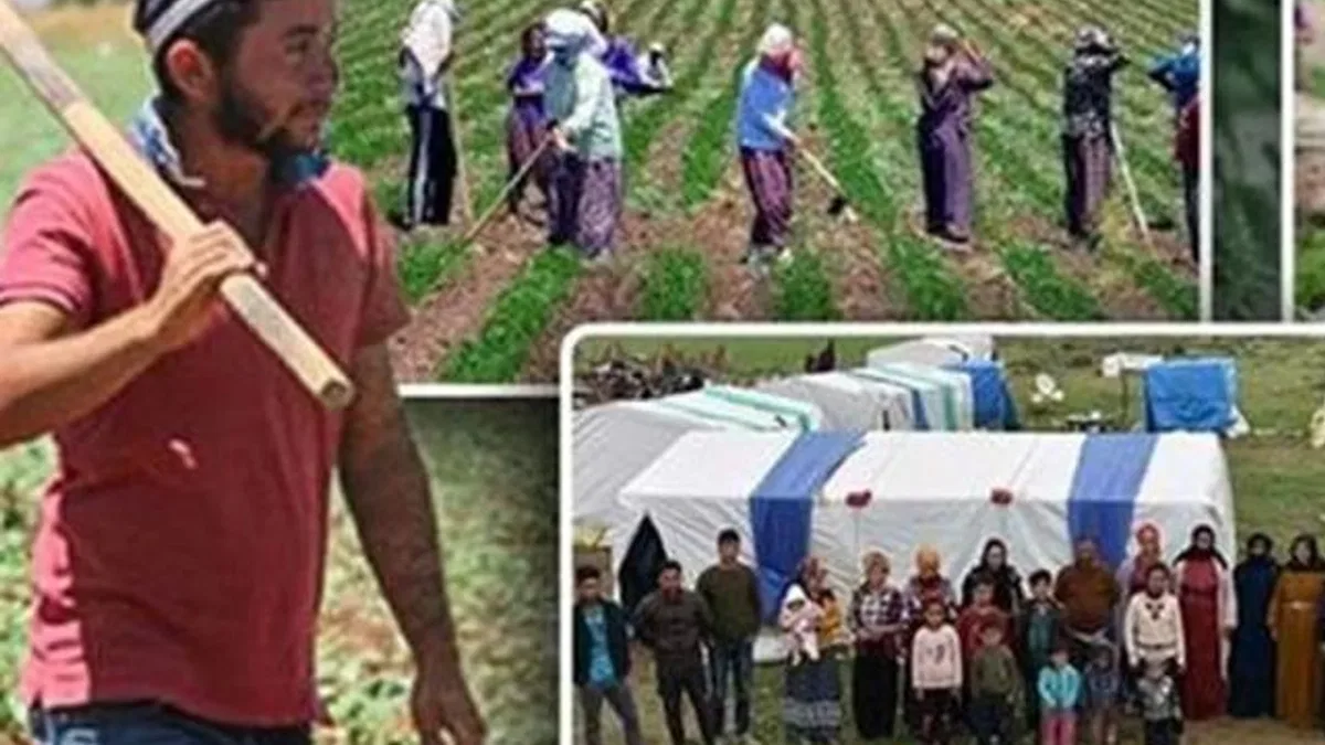 Tarım işçilerine en yüksek ödeme yapan iller?