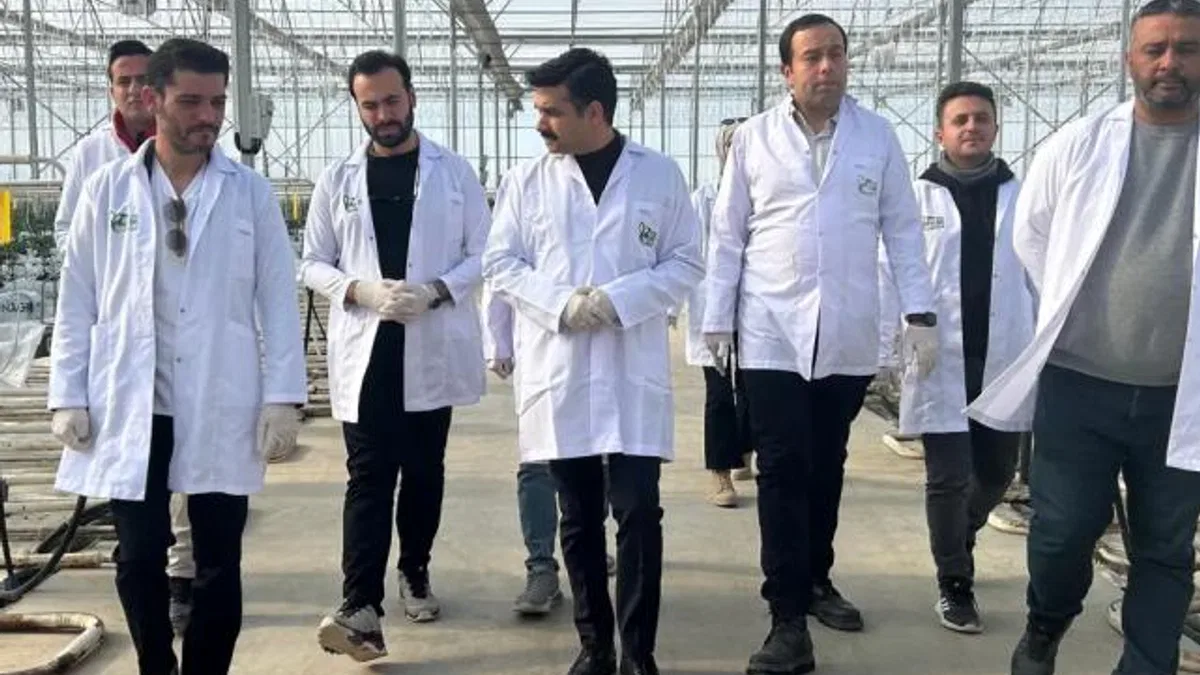 Agrotermal seralarında yeni yılın ilk dikimi gerçekleştirildi