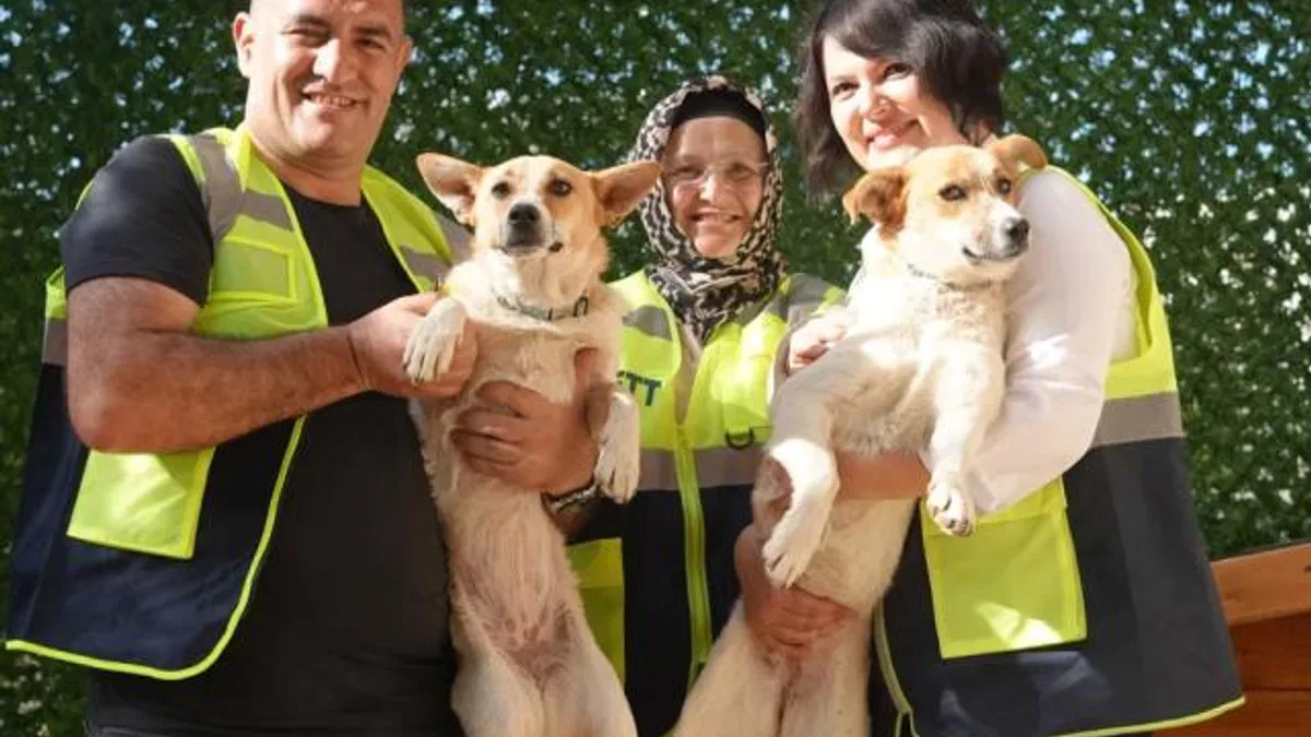 İETT kapılarını patili dostlara açtı