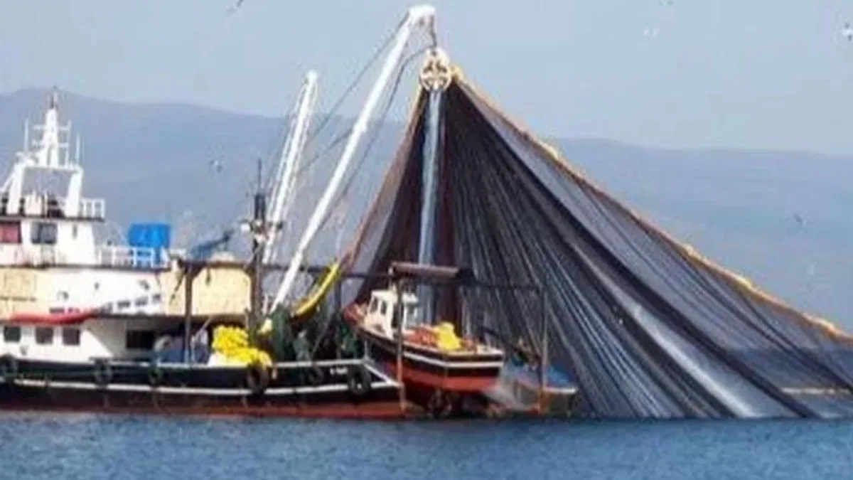 Balıkçılara dev destek! Balıkçılık gemi sayısı yüzde 65 arttı