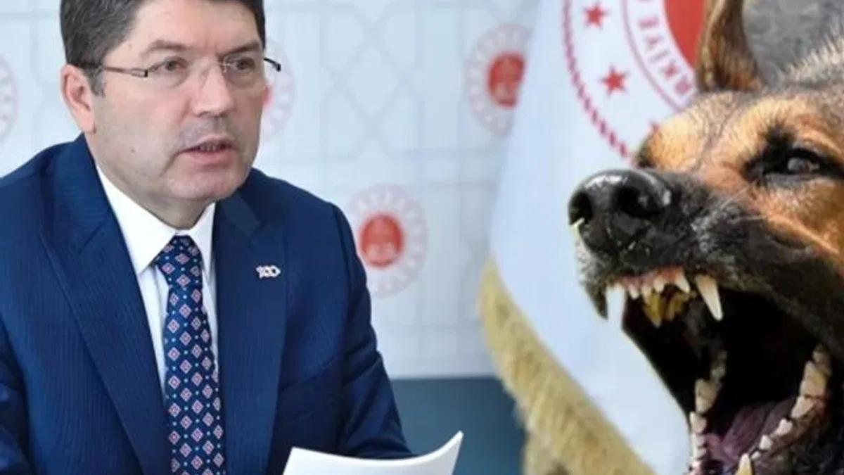 Başıboş saldırılarla ilgili ihmallere soruşturma