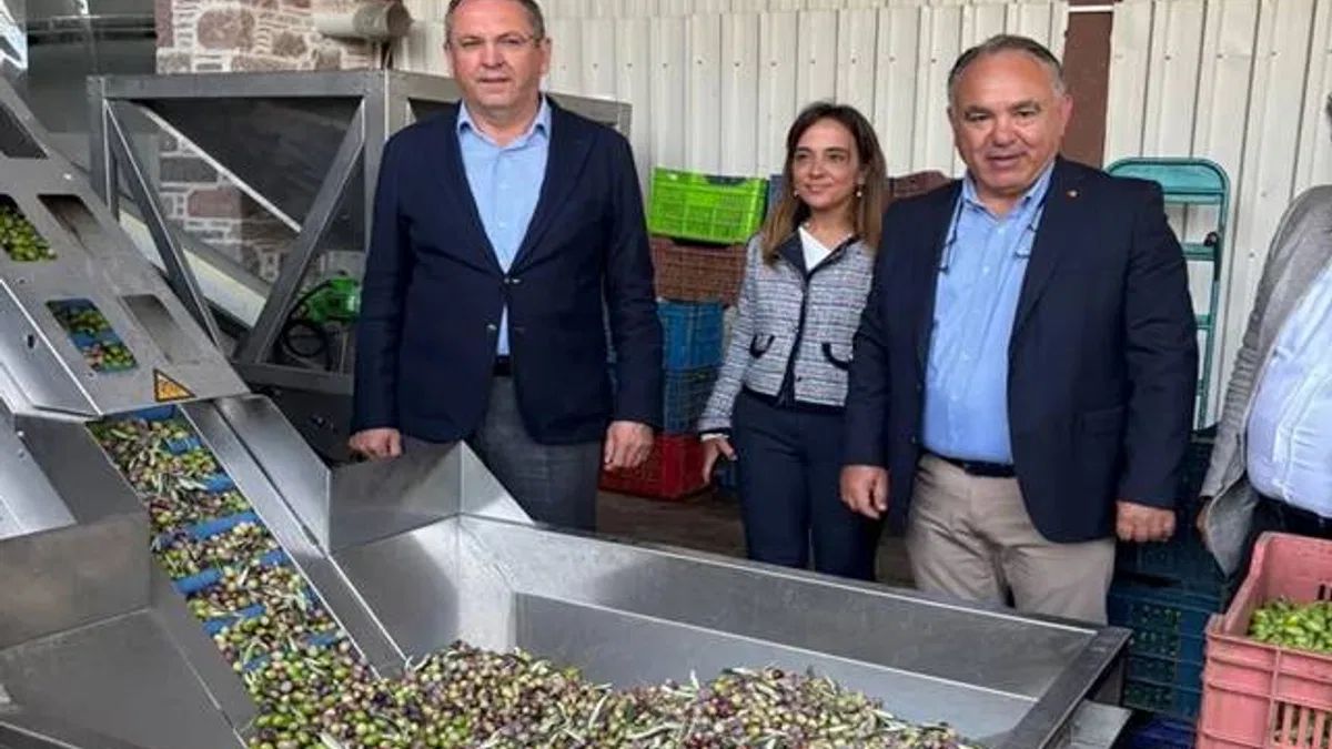 Ayvalık Ticaret Odası: Zeytinyağı ihracatında en büyük sorun markasızlık