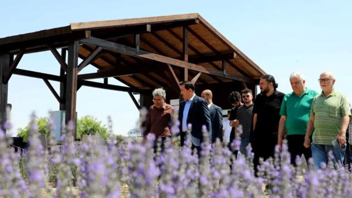 Konya Karatay Lavanta Bahçeleri’nde görsel şölen heyecanı
