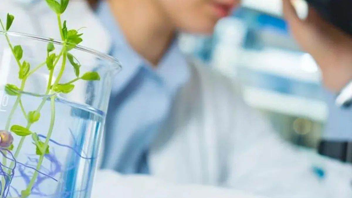 Laboratuvar denetimlerinde yeni kural! Cezalarda tarih hesabı il müdürlerine bağlandı