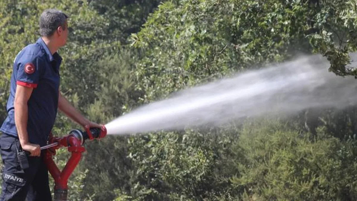 Sakarya’da aynı anda 3 orman yangını: Nuruosmaniye’de müdahale devam ediyor