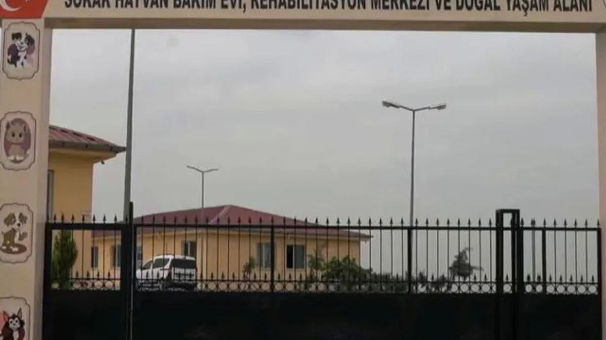 Siirt’te sokak hayvanları için dev proje