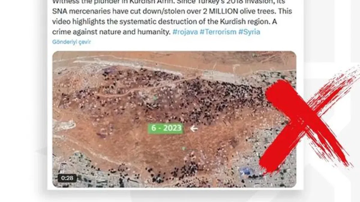 Afrin’de 2 milyon zeytin ağacı kesildi iddiasına İletişim’den yanıt