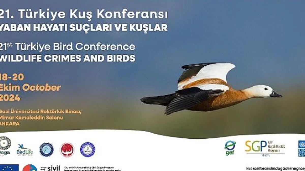 21. Türkiye Kuş Konferansı 18-20 Ekim 2024’te Yaban Hayatı Suçları ve Kuşlar temasıyla Ankara’da.