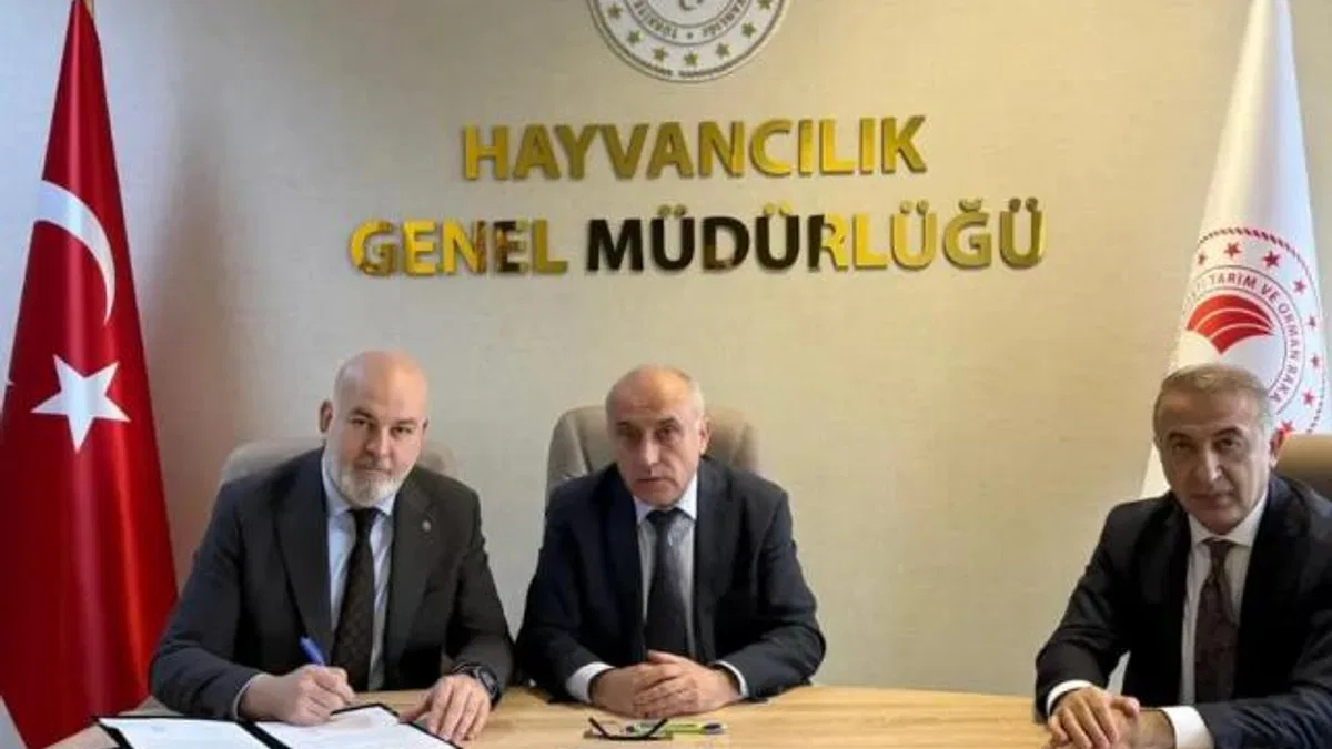 Besilik hayvan krizine neşter! İki kritik protokolle yerli üretim güçlenecek
