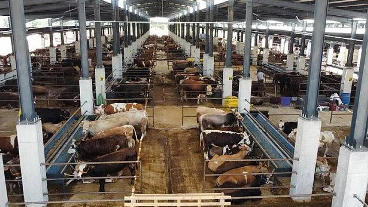 İnegöl Hayvan Pazarının Kotra İhale Tarihi Belli Oldu