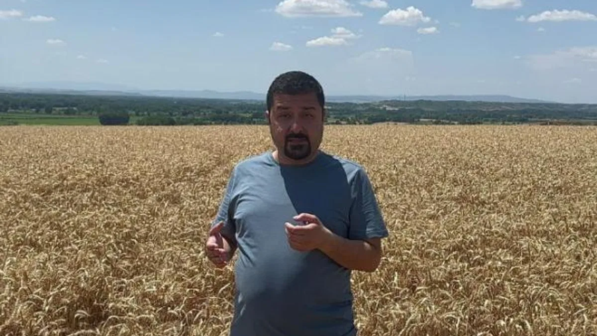 CHP’li vekilden TMO’ya buğday tarlasından tepki
