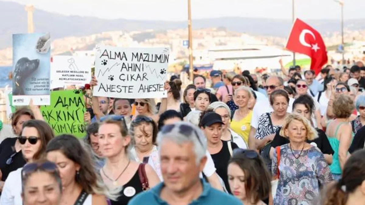 Sahipsiz hayvanlar için sesler Mudanya’dan yükseldi