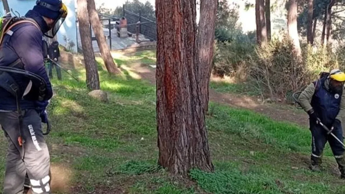 Bursa Gemlik’te yeşil seferberlik