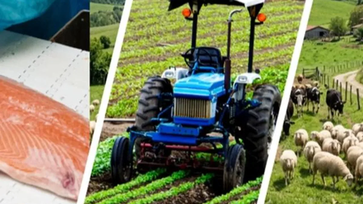 IPARD III’te yeni takvim açıklandı… Kırsala 241 milyon avroluk dev hibe