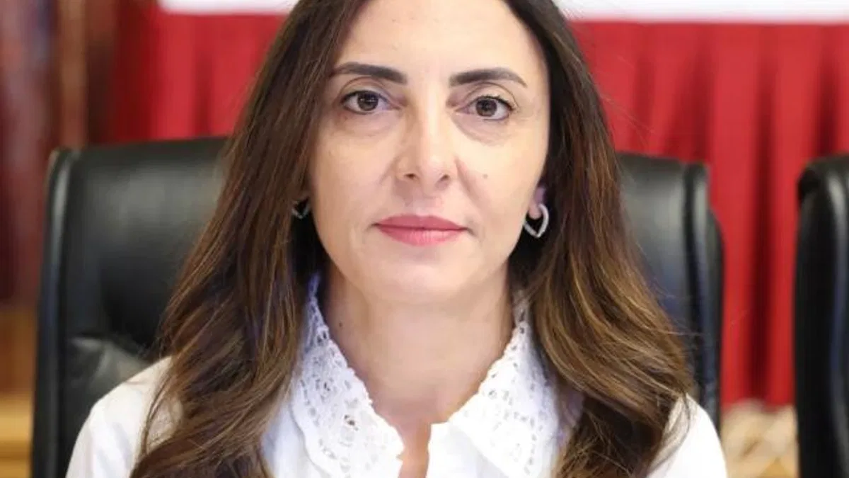 CHP’li Milletvekili Altaca Kayışoğlu’ndan ‘insan hakları’ vurgusu
