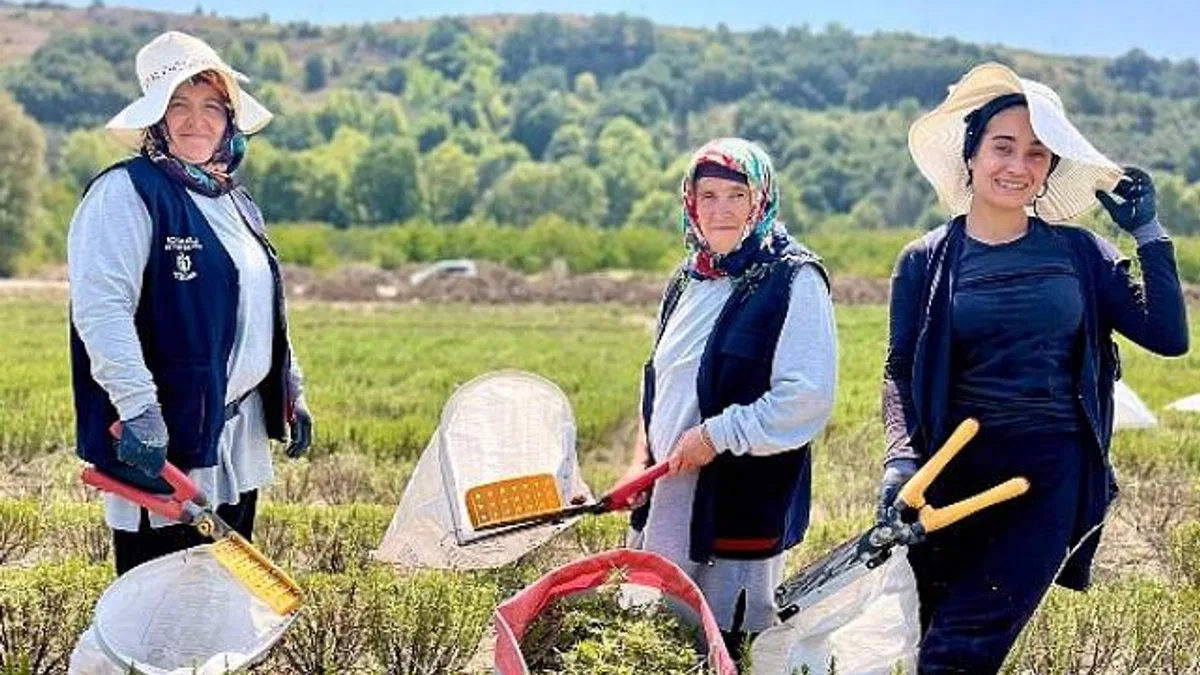 TABİP’te 2024 üretim sezonu tamamlandı