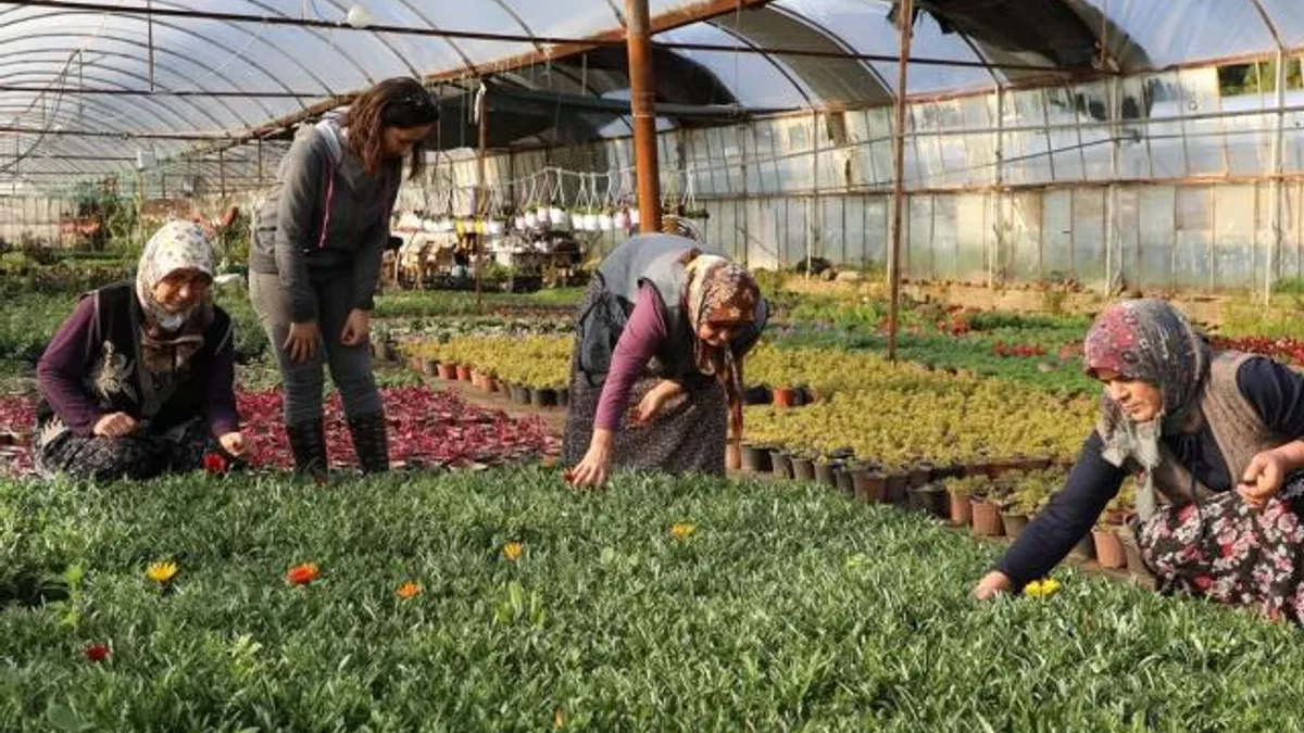 Muğla’da kadın emeğiyle gelecek inşa ediliyor