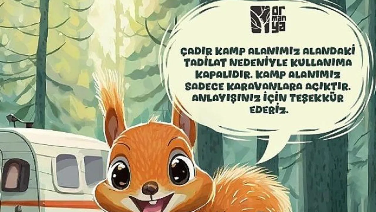 Ormanya kamp alanında yenileme
