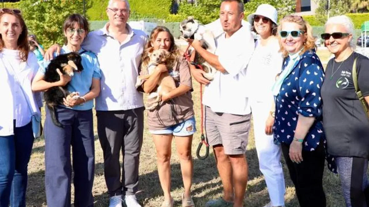 Mudanya Belediyesi 47 can dostu sahiplendirdi