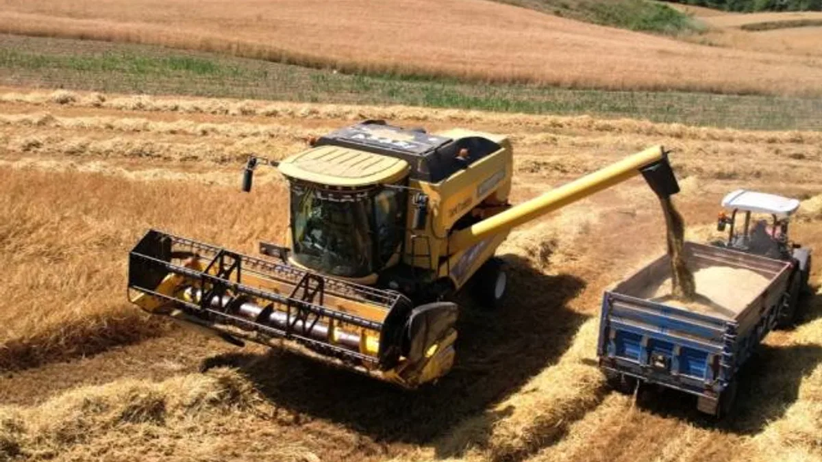 Kocaeli’de 57 bin dekarda hasat sevinci