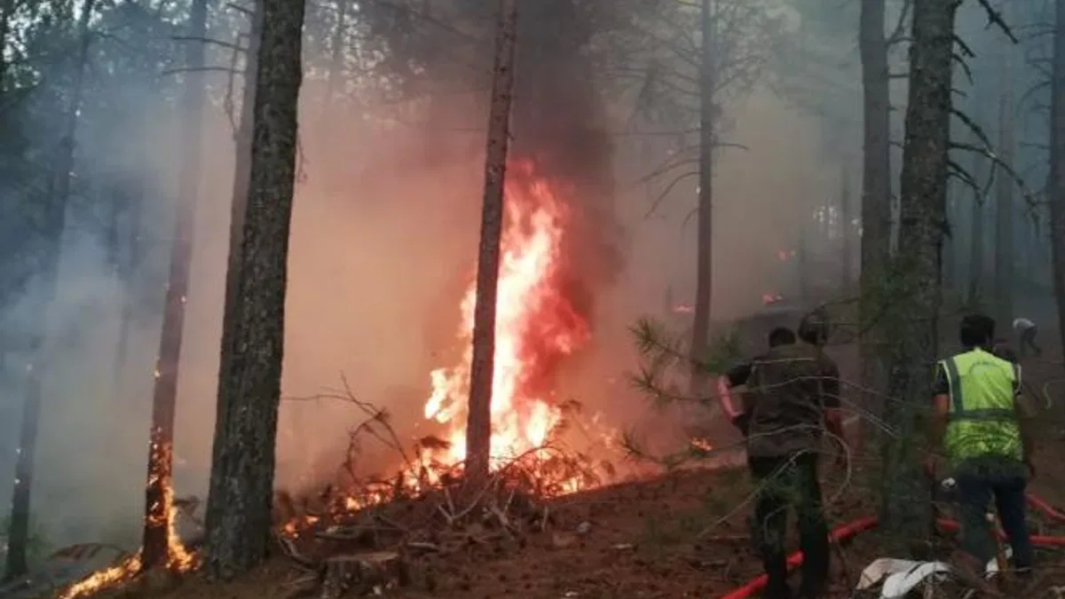 Muğla Büyükşehir orman yangınlarında tüm gücüyle sahada