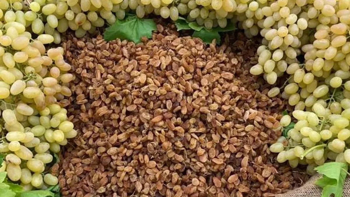 Çekirdeksiz ihracatta Türkiye ‘en’leri yaşadı