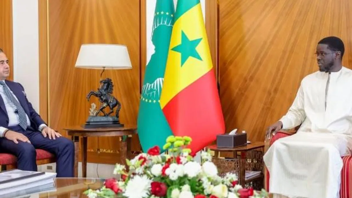 Türk iş adamının Senegal’de üst düzey işbirliği adımı